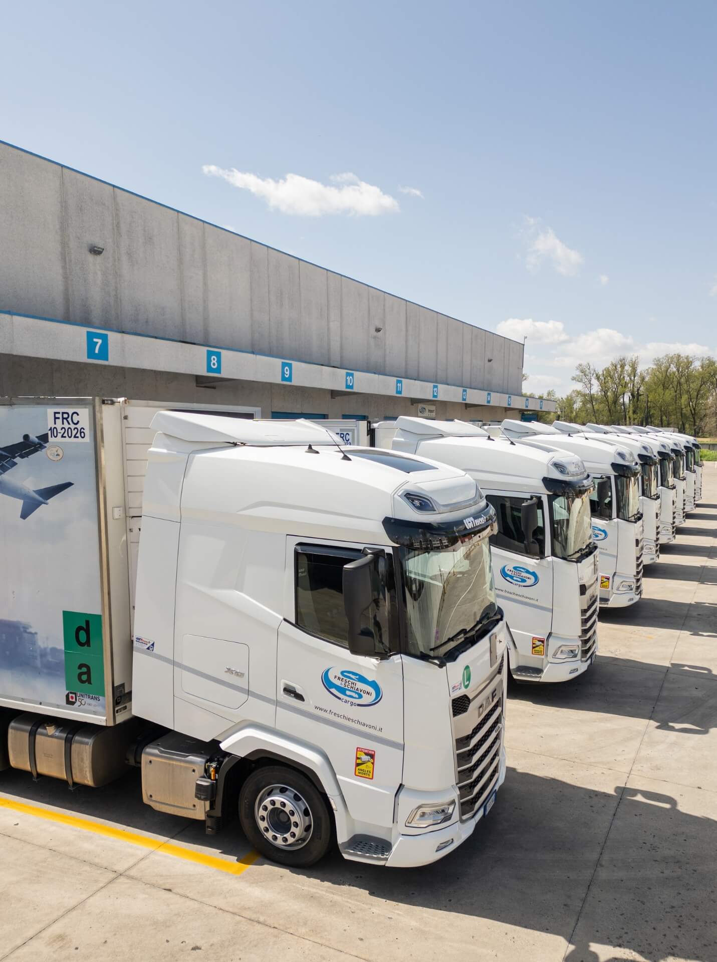 servizi trasporto freschi e schiavoni